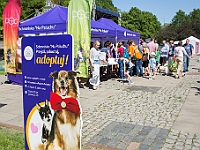 Warszawski Dzień Zwierząt 2017  Warszawa, Park Agrykola. 20 maja 2017 r. : warszawski dzień zwierząt, park agrykola, schronisko na paluchu