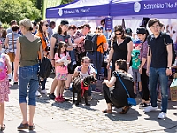 Warszawski Dzień Zwierząt 2017  Warszawa, Park Agrykola. 20 maja 2017 r. : warszawski dzień zwierząt, park agrykola, schronisko na paluchu