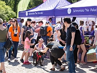 Warszawski Dzień Zwierząt 2017  Warszawa, Park Agrykola. 20 maja 2017 r. : warszawski dzień zwierząt, park agrykola, schronisko na paluchu
