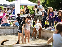 Warszawski Dzień Zwierząt 2017  Warszawa, Park Agrykola. 20 maja 2017 r. : warszawski dzień zwierząt, park agrykola, schronisko na paluchu