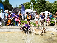 Warszawski Dzień Zwierząt 2017  Warszawa, Park Agrykola. 20 maja 2017 r. : warszawski dzień zwierząt, park agrykola, schronisko na paluchu