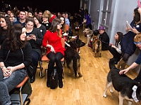 Gala Przyjaciele Schroniska na Paluchu  Warszawa, 18 stycznia 2018 r. Okęcka Sala Widowiskowa. Gala "Przyjaciele Schroniska na Paluchu". : schronisko na paluchu, przyjaciele schroniska na paluchu, okęcka sala widowiskowa, maciej orłoś, henryk strzelczyk, kasia moś, tvp 3 warszawa, carrefour, kocie sprawy, dog & sport, cztery łapy