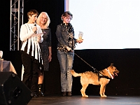 Gala Przyjaciele Schroniska na Paluchu  Warszawa, 18 stycznia 2018 r. Okęcka Sala Widowiskowa. Gala "Przyjaciele Schroniska na Paluchu". : schronisko na paluchu, przyjaciele schroniska na paluchu, okęcka sala widowiskowa, maciej orłoś, henryk strzelczyk, kasia moś, tvp 3 warszawa, carrefour, kocie sprawy, dog & sport, cztery łapy