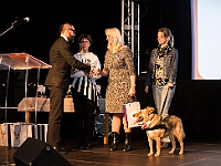 Gala Przyjaciele Schroniska na Paluchu  Warszawa, 18 stycznia 2018 r. Okęcka Sala Widowiskowa. Gala "Przyjaciele Schroniska na Paluchu". : schronisko na paluchu, przyjaciele schroniska na paluchu, okęcka sala widowiskowa, maciej orłoś, henryk strzelczyk, kasia moś, tvp 3 warszawa, carrefour, kocie sprawy, dog & sport, cztery łapy