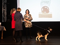 Gala Przyjaciele Schroniska na Paluchu  Warszawa, 18 stycznia 2018 r. Okęcka Sala Widowiskowa. Gala "Przyjaciele Schroniska na Paluchu". : schronisko na paluchu, przyjaciele schroniska na paluchu, okęcka sala widowiskowa, maciej orłoś, henryk strzelczyk, kasia moś, tvp 3 warszawa, carrefour, kocie sprawy, dog & sport, cztery łapy