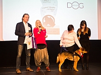 Gala Przyjaciele Schroniska na Paluchu  Warszawa, 18 stycznia 2018 r. Okęcka Sala Widowiskowa. Gala "Przyjaciele Schroniska na Paluchu". : schronisko na paluchu, przyjaciele schroniska na paluchu, okęcka sala widowiskowa, maciej orłoś, henryk strzelczyk, kasia moś, tvp 3 warszawa, carrefour, kocie sprawy, dog & sport, cztery łapy