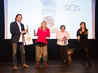 Gala Przyjaciele Schroniska na Paluchu  Warszawa, 18 stycznia 2018 r. Okęcka Sala Widowiskowa. Gala "Przyjaciele Schroniska na Paluchu". : schronisko na paluchu, przyjaciele schroniska na paluchu, okęcka sala widowiskowa, maciej orłoś, henryk strzelczyk, kasia moś, tvp 3 warszawa, carrefour, kocie sprawy, dog & sport, cztery łapy