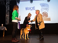 Gala Przyjaciele Schroniska na Paluchu  Warszawa, 18 stycznia 2018 r. Okęcka Sala Widowiskowa. Gala "Przyjaciele Schroniska na Paluchu". : schronisko na paluchu, przyjaciele schroniska na paluchu, okęcka sala widowiskowa, maciej orłoś, henryk strzelczyk, kasia moś, tvp 3 warszawa, carrefour, kocie sprawy, dog & sport, cztery łapy
