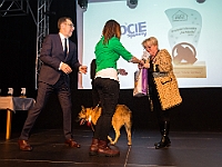 Gala Przyjaciele Schroniska na Paluchu  Warszawa, 18 stycznia 2018 r. Okęcka Sala Widowiskowa. Gala "Przyjaciele Schroniska na Paluchu". : schronisko na paluchu, przyjaciele schroniska na paluchu, okęcka sala widowiskowa, maciej orłoś, henryk strzelczyk, kasia moś, tvp 3 warszawa, carrefour, kocie sprawy, dog & sport, cztery łapy