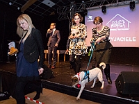 Gala Przyjaciele Schroniska na Paluchu  Warszawa, 18 stycznia 2018 r. Okęcka Sala Widowiskowa. Gala "Przyjaciele Schroniska na Paluchu". : schronisko na paluchu, przyjaciele schroniska na paluchu, okęcka sala widowiskowa, maciej orłoś, henryk strzelczyk, kasia moś, tvp 3 warszawa, carrefour, kocie sprawy, dog & sport, cztery łapy