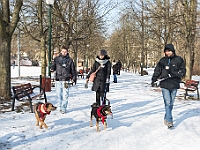 Adoptuj Warszawiaka  Akcja mająca na celu propagowanie adopcji psów i kotów. Organizator - Schronisko dla Bezdomnych Zwierząt na Paluchu w Warszawie. Park Szczęścliwicki, 24 lutego 2018 r. : adopcja psów, adopcja kotów, schronisko na paluchu, park szczęśliwicki, adoptuj warszawiak, henryk strzelczyk, magda migdał