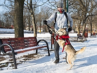Adoptuj Warszawiaka  Akcja mająca na celu propagowanie adopcji psów i kotów. Organizator - Schronisko dla Bezdomnych Zwierząt na Paluchu w Warszawie. Park Szczęścliwicki, 24 lutego 2018 r. : adopcja psów, adopcja kotów, schronisko na paluchu, park szczęśliwicki, adoptuj warszawiak, henryk strzelczyk, magda migdał