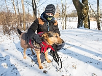 Adoptuj Warszawiaka  Akcja mająca na celu propagowanie adopcji psów i kotów. Organizator - Schronisko dla Bezdomnych Zwierząt na Paluchu w Warszawie. Park Szczęścliwicki, 24 lutego 2018 r. : adopcja psów, adopcja kotów, schronisko na paluchu, park szczęśliwicki, adoptuj warszawiak, henryk strzelczyk, magda migdał