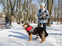 Adoptuj Warszawiaka  Akcja mająca na celu propagowanie adopcji psów i kotów. Organizator - Schronisko dla Bezdomnych Zwierząt na Paluchu w Warszawie. Park Szczęścliwicki, 24 lutego 2018 r. : adopcja psów, adopcja kotów, schronisko na paluchu, park szczęśliwicki, adoptuj warszawiak, henryk strzelczyk, magda migdał