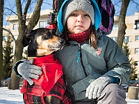 Adoptuj Warszawiaka  Akcja mająca na celu propagowanie adopcji psów i kotów. Organizator - Schronisko dla Bezdomnych Zwierząt na Paluchu w Warszawie. Park Szczęścliwicki, 24 lutego 2018 r. : adopcja psów, adopcja kotów, schronisko na paluchu, park szczęśliwicki, adoptuj warszawiak, henryk strzelczyk, magda migdał