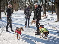 Adoptuj Warszawiaka  Akcja mająca na celu propagowanie adopcji psów i kotów. Organizator - Schronisko dla Bezdomnych Zwierząt na Paluchu w Warszawie. Park Szczęścliwicki, 24 lutego 2018 r. : adopcja psów, adopcja kotów, schronisko na paluchu, park szczęśliwicki, adoptuj warszawiak, henryk strzelczyk, magda migdał