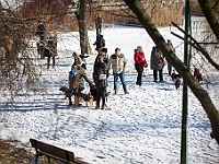 Adoptuj Warszawiaka  Akcja mająca na celu propagowanie adopcji psów i kotów. Organizator - Schronisko dla Bezdomnych Zwierząt na Paluchu w Warszawie. Park Szczęścliwicki, 24 lutego 2018 r. : adopcja psów, adopcja kotów, schronisko na paluchu, park szczęśliwicki, adoptuj warszawiak, henryk strzelczyk, magda migdał