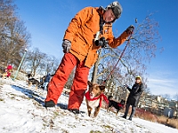 Adoptuj Warszawiaka  Akcja mająca na celu propagowanie adopcji psów i kotów. Organizator - Schronisko dla Bezdomnych Zwierząt na Paluchu w Warszawie. Park Szczęścliwicki, 24 lutego 2018 r. : adopcja psów, adopcja kotów, schronisko na paluchu, park szczęśliwicki, adoptuj warszawiak, henryk strzelczyk, magda migdał