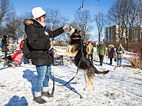 Adoptuj Warszawiaka  Akcja mająca na celu propagowanie adopcji psów i kotów. Organizator - Schronisko dla Bezdomnych Zwierząt na Paluchu w Warszawie. Park Szczęścliwicki, 24 lutego 2018 r. : adopcja psów, adopcja kotów, schronisko na paluchu, park szczęśliwicki, adoptuj warszawiak, henryk strzelczyk, magda migdał