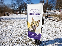 Adoptuj Warszawiaka  Akcja mająca na celu propagowanie adopcji psów i kotów. Organizator - Schronisko dla Bezdomnych Zwierząt na Paluchu w Warszawie. Park Szczęścliwicki, 24 lutego 2018 r. : adopcja psów, adopcja kotów, schronisko na paluchu, park szczęśliwicki, adoptuj warszawiak, henryk strzelczyk, magda migdał