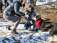 Adoptuj Warszawiaka  Akcja mająca na celu propagowanie adopcji psów i kotów. Organizator - Schronisko dla Bezdomnych Zwierząt na Paluchu w Warszawie. Park Szczęścliwicki, 24 lutego 2018 r. : adopcja psów, adopcja kotów, schronisko na paluchu, park szczęśliwicki, adoptuj warszawiak, henryk strzelczyk, magda migdał