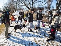Adoptuj Warszawiaka  Akcja mająca na celu propagowanie adopcji psów i kotów. Organizator - Schronisko dla Bezdomnych Zwierząt na Paluchu w Warszawie. Park Szczęścliwicki, 24 lutego 2018 r. : adopcja psów, adopcja kotów, schronisko na paluchu, park szczęśliwicki, adoptuj warszawiak, henryk strzelczyk, magda migdał