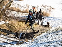 Adoptuj Warszawiaka  Akcja mająca na celu propagowanie adopcji psów i kotów. Organizator - Schronisko dla Bezdomnych Zwierząt na Paluchu w Warszawie. Park Szczęścliwicki, 24 lutego 2018 r. : adopcja psów, adopcja kotów, schronisko na paluchu, park szczęśliwicki, adoptuj warszawiak, henryk strzelczyk, magda migdał