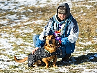 Adoptuj Warszawiaka  Akcja mająca na celu propagowanie adopcji psów i kotów. Organizator - Schronisko dla Bezdomnych Zwierząt na Paluchu w Warszawie. Park Szczęścliwicki, 24 lutego 2018 r. : adopcja psów, adopcja kotów, schronisko na paluchu, park szczęśliwicki, adoptuj warszawiak, henryk strzelczyk, magda migdał