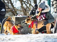 Adoptuj Warszawiaka  Akcja mająca na celu propagowanie adopcji psów i kotów. Organizator - Schronisko dla Bezdomnych Zwierząt na Paluchu w Warszawie. Park Szczęścliwicki, 24 lutego 2018 r. : adopcja psów, adopcja kotów, schronisko na paluchu, park szczęśliwicki, adoptuj warszawiak, henryk strzelczyk, magda migdał
