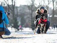 Adoptuj Warszawiaka  Akcja mająca na celu propagowanie adopcji psów i kotów. Organizator - Schronisko dla Bezdomnych Zwierząt na Paluchu w Warszawie. Park Szczęścliwicki, 24 lutego 2018 r. : adopcja psów, adopcja kotów, schronisko na paluchu, park szczęśliwicki, adoptuj warszawiak, henryk strzelczyk, magda migdał