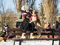 Adoptuj Warszawiaka  Akcja mająca na celu propagowanie adopcji psów i kotów. Organizator - Schronisko dla Bezdomnych Zwierząt na Paluchu w Warszawie. Park Szczęścliwicki, 24 lutego 2018 r. : adopcja psów, adopcja kotów, schronisko na paluchu, park szczęśliwicki, adoptuj warszawiak, henryk strzelczyk, magda migdał