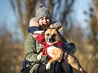 Adoptuj Warszawiaka  Akcja mająca na celu propagowanie adopcji psów i kotów. Organizator - Schronisko dla Bezdomnych Zwierząt na Paluchu w Warszawie. Park Szczęścliwicki, 24 lutego 2018 r. : adopcja psów, adopcja kotów, schronisko na paluchu, park szczęśliwicki, adoptuj warszawiak, henryk strzelczyk, magda migdał