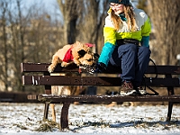 Adoptuj Warszawiaka  Akcja mająca na celu propagowanie adopcji psów i kotów. Organizator - Schronisko dla Bezdomnych Zwierząt na Paluchu w Warszawie. Park Szczęścliwicki, 24 lutego 2018 r. : adopcja psów, adopcja kotów, schronisko na paluchu, park szczęśliwicki, adoptuj warszawiak, henryk strzelczyk, magda migdał