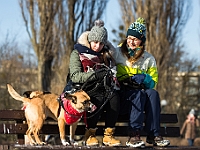 Adoptuj Warszawiaka  Akcja mająca na celu propagowanie adopcji psów i kotów. Organizator - Schronisko dla Bezdomnych Zwierząt na Paluchu w Warszawie. Park Szczęścliwicki, 24 lutego 2018 r. : adopcja psów, adopcja kotów, schronisko na paluchu, park szczęśliwicki, adoptuj warszawiak, henryk strzelczyk, magda migdał
