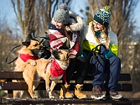 Adoptuj Warszawiaka  Akcja mająca na celu propagowanie adopcji psów i kotów. Organizator - Schronisko dla Bezdomnych Zwierząt na Paluchu w Warszawie. Park Szczęścliwicki, 24 lutego 2018 r. : adopcja psów, adopcja kotów, schronisko na paluchu, park szczęśliwicki, adoptuj warszawiak, henryk strzelczyk, magda migdał