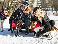 Adoptuj Warszawiaka  Akcja mająca na celu propagowanie adopcji psów i kotów. Organizator - Schronisko dla Bezdomnych Zwierząt na Paluchu w Warszawie. Park Szczęścliwicki, 24 lutego 2018 r. : adopcja psów, adopcja kotów, schronisko na paluchu, park szczęśliwicki, adoptuj warszawiak, henryk strzelczyk, magda migdał