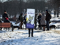Adoptuj Warszawiaka  Akcja mająca na celu propagowanie adopcji psów i kotów. Organizator - Schronisko dla Bezdomnych Zwierząt na Paluchu w Warszawie. Park Szczęścliwicki, 24 lutego 2018 r. : adopcja psów, adopcja kotów, schronisko na paluchu, park szczęśliwicki, adoptuj warszawiak, henryk strzelczyk, magda migdał