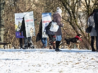 Adoptuj Warszawiaka  Akcja mająca na celu propagowanie adopcji psów i kotów. Organizator - Schronisko dla Bezdomnych Zwierząt na Paluchu w Warszawie. Park Szczęścliwicki, 24 lutego 2018 r. : adopcja psów, adopcja kotów, schronisko na paluchu, park szczęśliwicki, adoptuj warszawiak, henryk strzelczyk, magda migdał