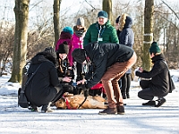 Adoptuj Warszawiaka  Akcja mająca na celu propagowanie adopcji psów i kotów. Organizator - Schronisko dla Bezdomnych Zwierząt na Paluchu w Warszawie. Park Szczęścliwicki, 24 lutego 2018 r. : adopcja psów, adopcja kotów, schronisko na paluchu, park szczęśliwicki, adoptuj warszawiak, henryk strzelczyk, magda migdał