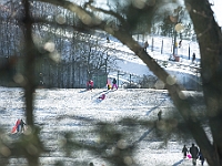 Adoptuj Warszawiaka  Akcja mająca na celu propagowanie adopcji psów i kotów. Organizator - Schronisko dla Bezdomnych Zwierząt na Paluchu w Warszawie. Park Szczęścliwicki, 24 lutego 2018 r. : adopcja psów, adopcja kotów, schronisko na paluchu, park szczęśliwicki, adoptuj warszawiak, henryk strzelczyk, magda migdał
