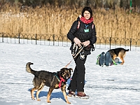 Adoptuj Warszawiaka  Akcja mająca na celu propagowanie adopcji psów i kotów. Organizator - Schronisko dla Bezdomnych Zwierząt na Paluchu w Warszawie. Park Szczęścliwicki, 24 lutego 2018 r. : adopcja psów, adopcja kotów, schronisko na paluchu, park szczęśliwicki, adoptuj warszawiak, henryk strzelczyk, magda migdał