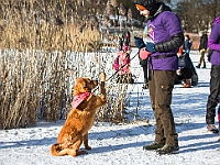 Adoptuj Warszawiaka  Akcja mająca na celu propagowanie adopcji psów i kotów. Organizator - Schronisko dla Bezdomnych Zwierząt na Paluchu w Warszawie. Park Szczęścliwicki, 24 lutego 2018 r. : adopcja psów, adopcja kotów, schronisko na paluchu, park szczęśliwicki, adoptuj warszawiak, henryk strzelczyk, magda migdał