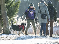 Adoptuj Warszawiaka  Akcja mająca na celu propagowanie adopcji psów i kotów. Organizator - Schronisko dla Bezdomnych Zwierząt na Paluchu w Warszawie. Park Szczęścliwicki, 24 lutego 2018 r. : adopcja psów, adopcja kotów, schronisko na paluchu, park szczęśliwicki, adoptuj warszawiak, henryk strzelczyk, magda migdał