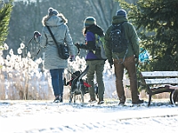 Adoptuj Warszawiaka  Akcja mająca na celu propagowanie adopcji psów i kotów. Organizator - Schronisko dla Bezdomnych Zwierząt na Paluchu w Warszawie. Park Szczęścliwicki, 24 lutego 2018 r. : adopcja psów, adopcja kotów, schronisko na paluchu, park szczęśliwicki, adoptuj warszawiak, henryk strzelczyk, magda migdał