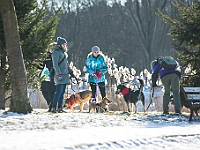 Adoptuj Warszawiaka  Akcja mająca na celu propagowanie adopcji psów i kotów. Organizator - Schronisko dla Bezdomnych Zwierząt na Paluchu w Warszawie. Park Szczęścliwicki, 24 lutego 2018 r. : adopcja psów, adopcja kotów, schronisko na paluchu, park szczęśliwicki, adoptuj warszawiak, henryk strzelczyk, magda migdał