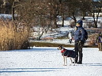 Adoptuj Warszawiaka  Akcja mająca na celu propagowanie adopcji psów i kotów. Organizator - Schronisko dla Bezdomnych Zwierząt na Paluchu w Warszawie. Park Szczęścliwicki, 24 lutego 2018 r. : adopcja psów, adopcja kotów, schronisko na paluchu, park szczęśliwicki, adoptuj warszawiak, henryk strzelczyk, magda migdał