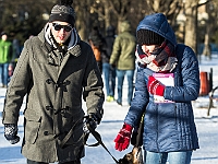 Adoptuj Warszawiaka  Akcja mająca na celu propagowanie adopcji psów i kotów. Organizator - Schronisko dla Bezdomnych Zwierząt na Paluchu w Warszawie. Park Szczęścliwicki, 24 lutego 2018 r. : adopcja psów, adopcja kotów, schronisko na paluchu, park szczęśliwicki, adoptuj warszawiak, henryk strzelczyk, magda migdał