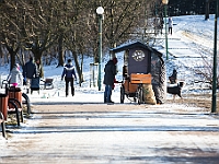 Adoptuj Warszawiaka  Akcja mająca na celu propagowanie adopcji psów i kotów. Organizator - Schronisko dla Bezdomnych Zwierząt na Paluchu w Warszawie. Park Szczęścliwicki, 24 lutego 2018 r. : adopcja psów, adopcja kotów, schronisko na paluchu, park szczęśliwicki, adoptuj warszawiak, henryk strzelczyk, magda migdał