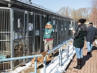 Sobota na Paluchu  Sobotnie przedpołudnie w Schronisku dla Bezdomnych Zwierząt na Paluchu. Warszawa, 17 marca 2018 r. : schronisko na paluchu, bezdomne psy, zima w schronisku
