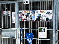 Sobota na Paluchu  Sobotnie przedpołudnie w Schronisku dla Bezdomnych Zwierząt na Paluchu. Warszawa, 17 marca 2018 r. : schronisko na paluchu, bezdomne psy, zima w schronisku